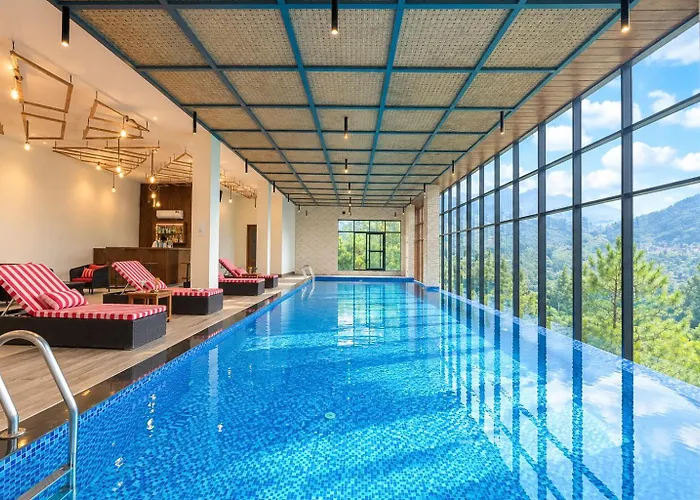 Jungle Lodge Resort & Spa