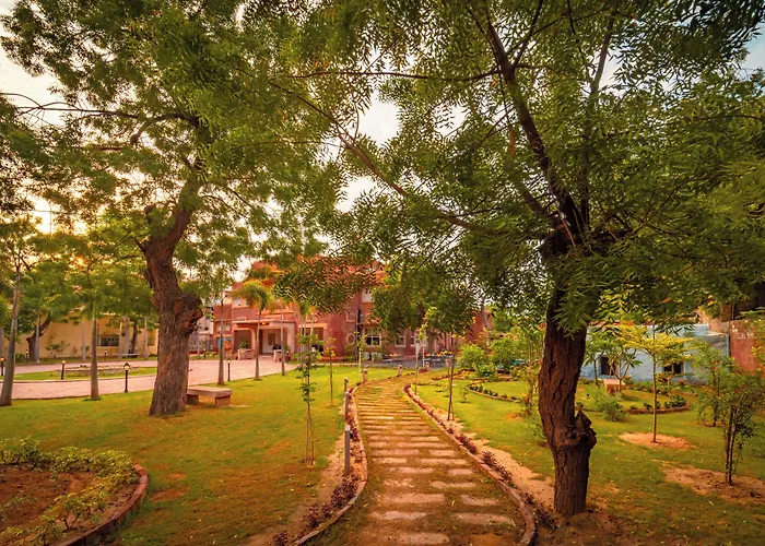 Tree Of Life Bhadrajun House, Jodhpur