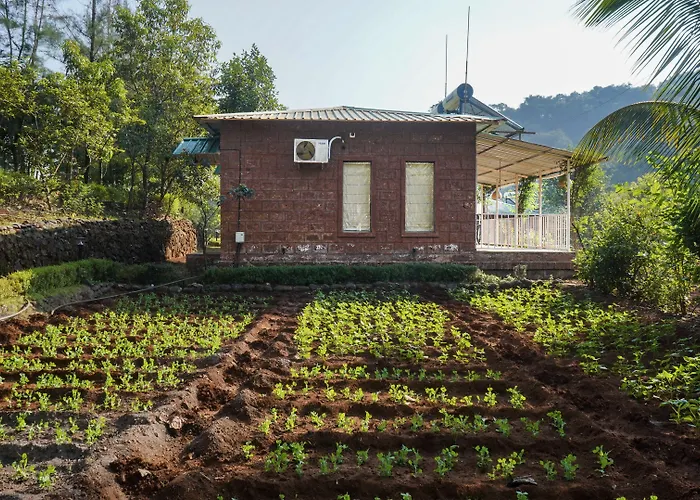 Jungle Valley Agriculture Resort