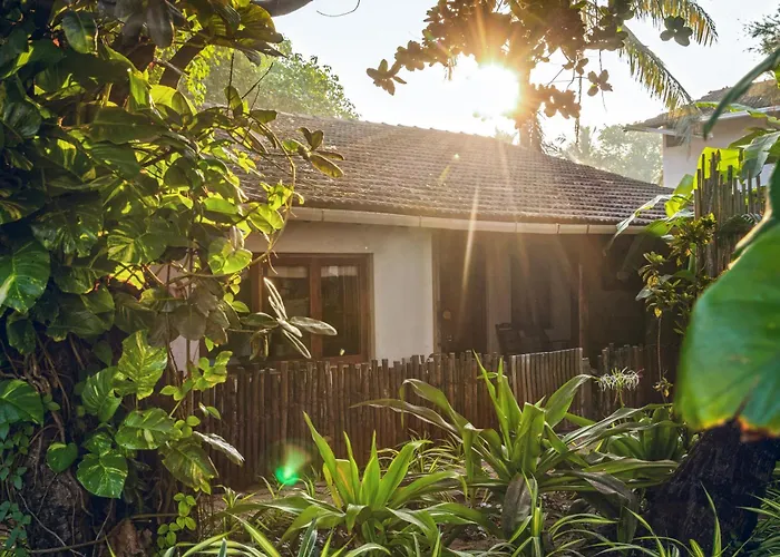 Vaayu Kula Mandrem Hotel