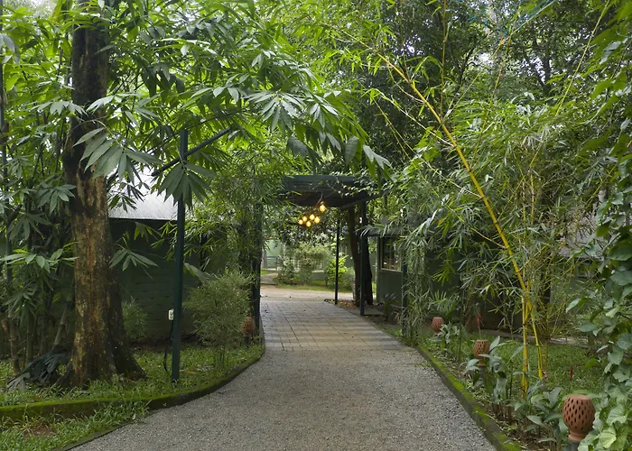 Letstay Adithya Nature Resort & Spa Vythiri