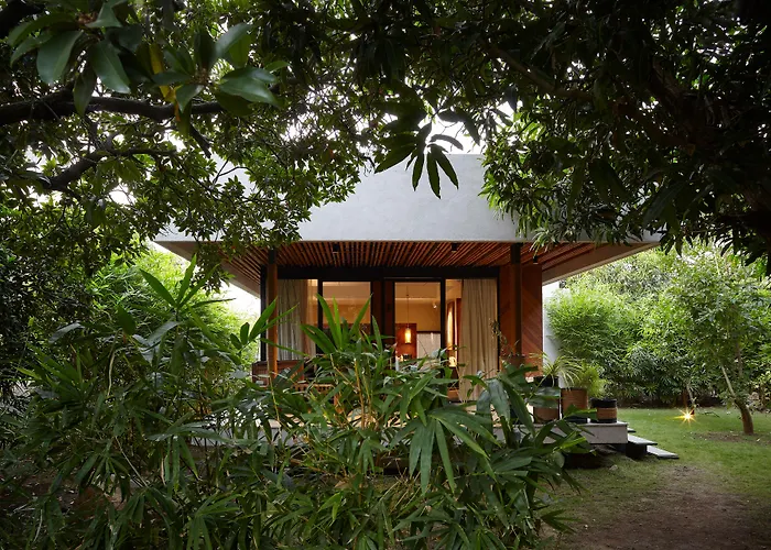 Woods At Sasan
