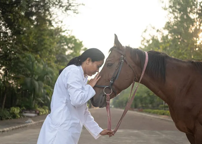 Fazlani Nature'S Nest- Your Pathway To Wellness Retreat