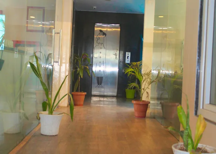 Hotel Mavens White Artemis Hospital Road Sector 52 Gurgaon