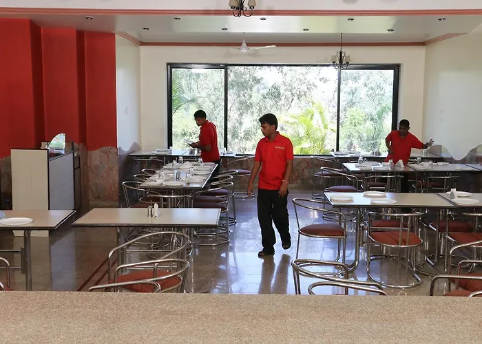 Hotel Anando , Saputara