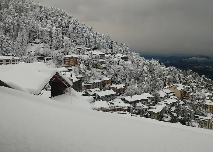 Ymca Tourist Hostel Shimla