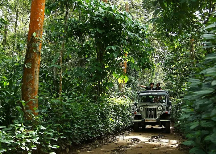 Elephant Court Thekkady