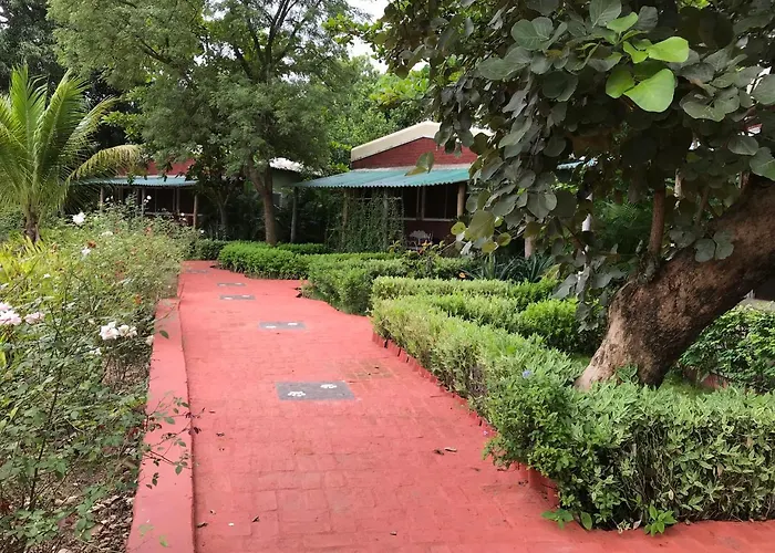Baaz Jungle Resort