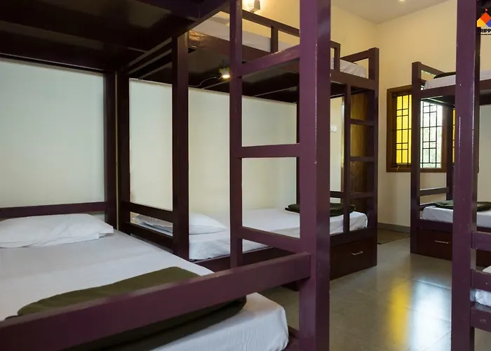 Trippr Kodaikanal Backpacker Hostel