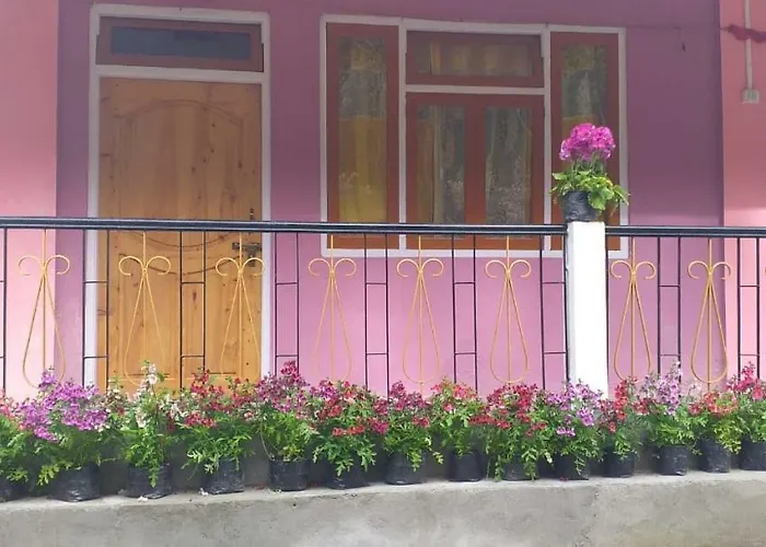 Ashis Homestay