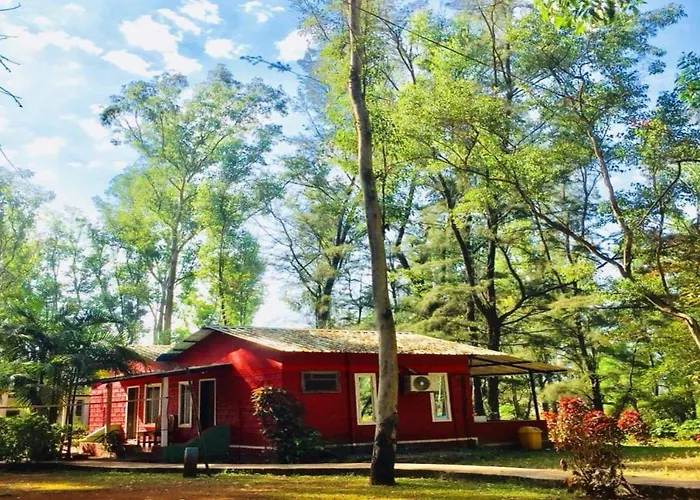 The Jungle Resort Amba